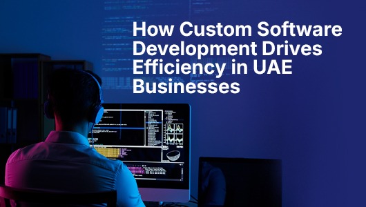 Custom Software Development